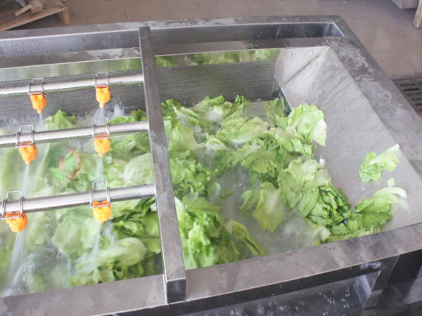 全网链洗菜机
