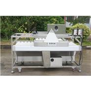 甘蔗清洗机/大型洗甘蔗机QM-2(视频) 甘蔗清洗机/大型洗甘蔗机QM-2(视频)